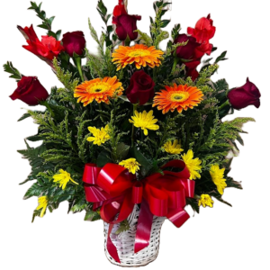 image.webp